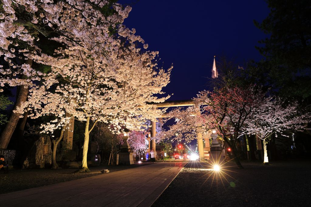 護国神社