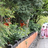 176A0724