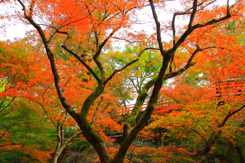 北野天満宮