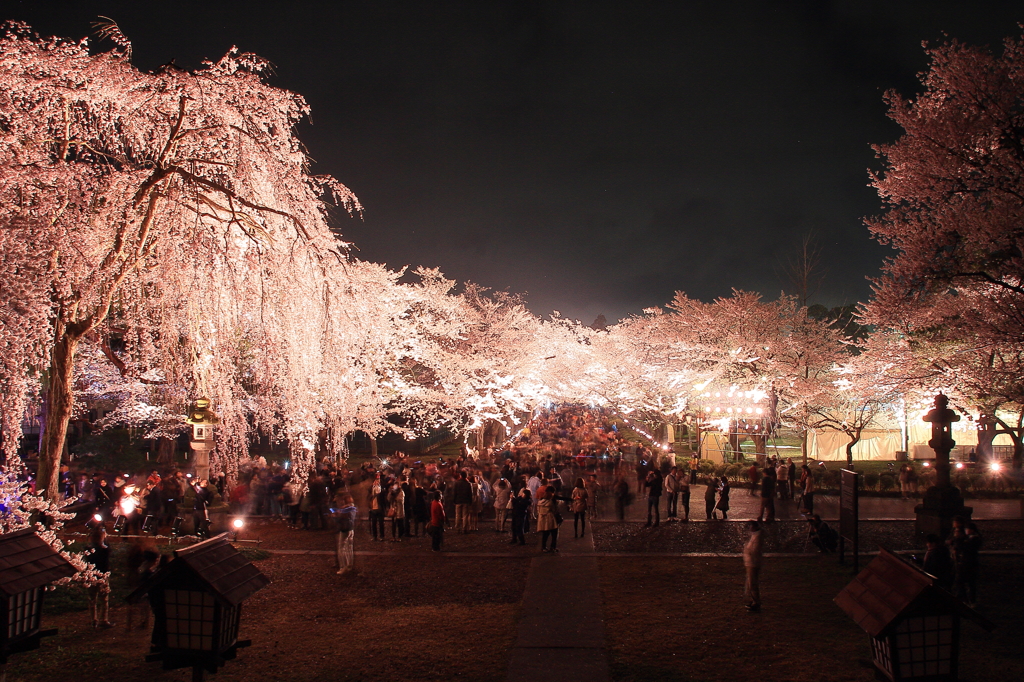 高田城百万人観桜会