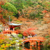 醍醐寺