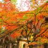 南禅寺