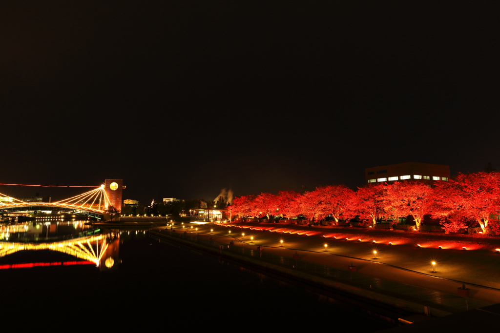 環水公園