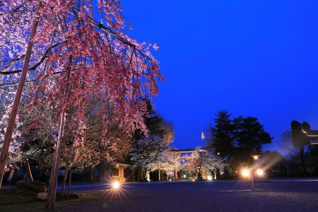 護国神社