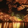高田城百万人観桜会