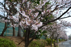 やっと