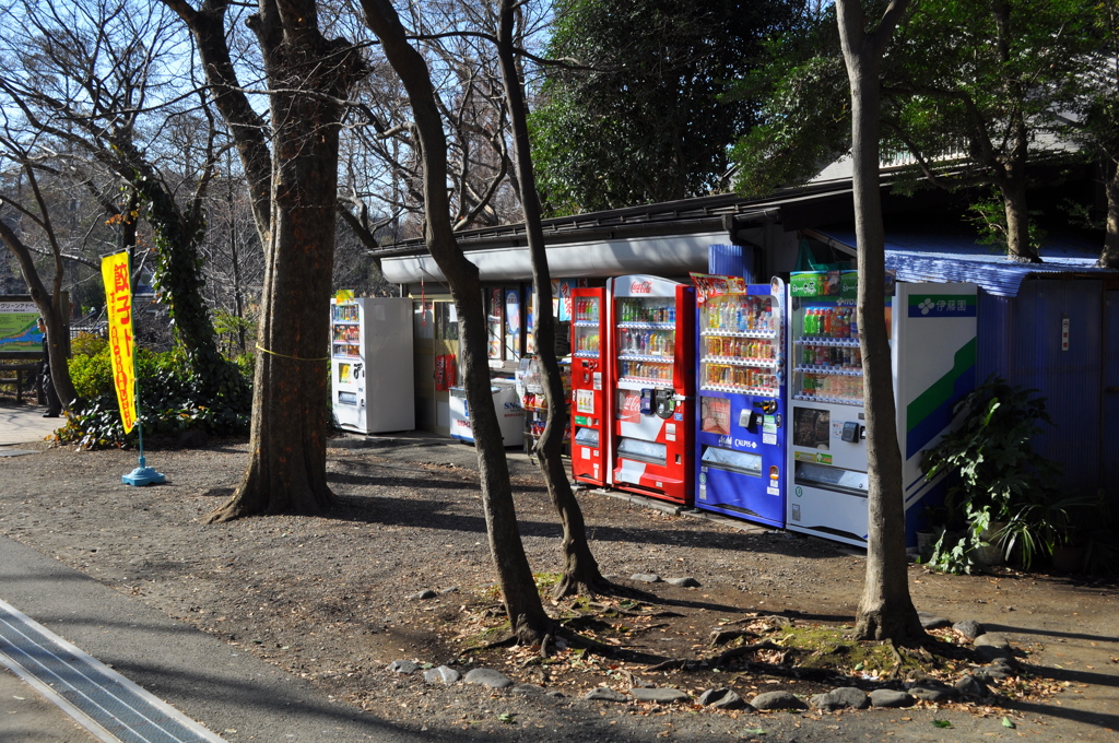 吉祥寺