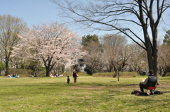 春１