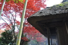 茅葺き屋根と焚き火の煙