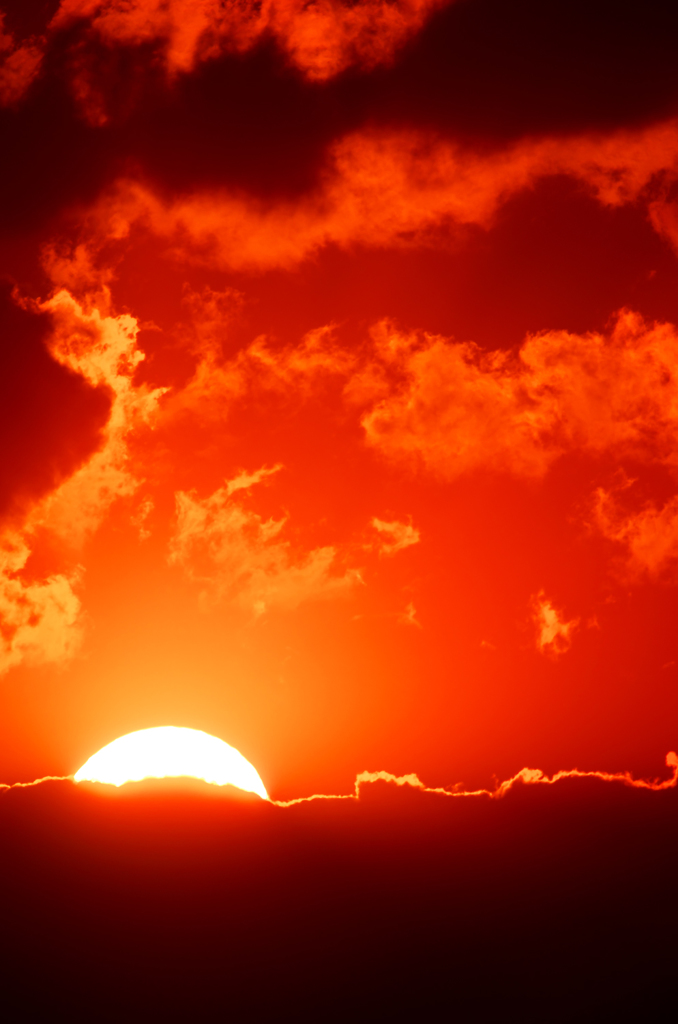RISE