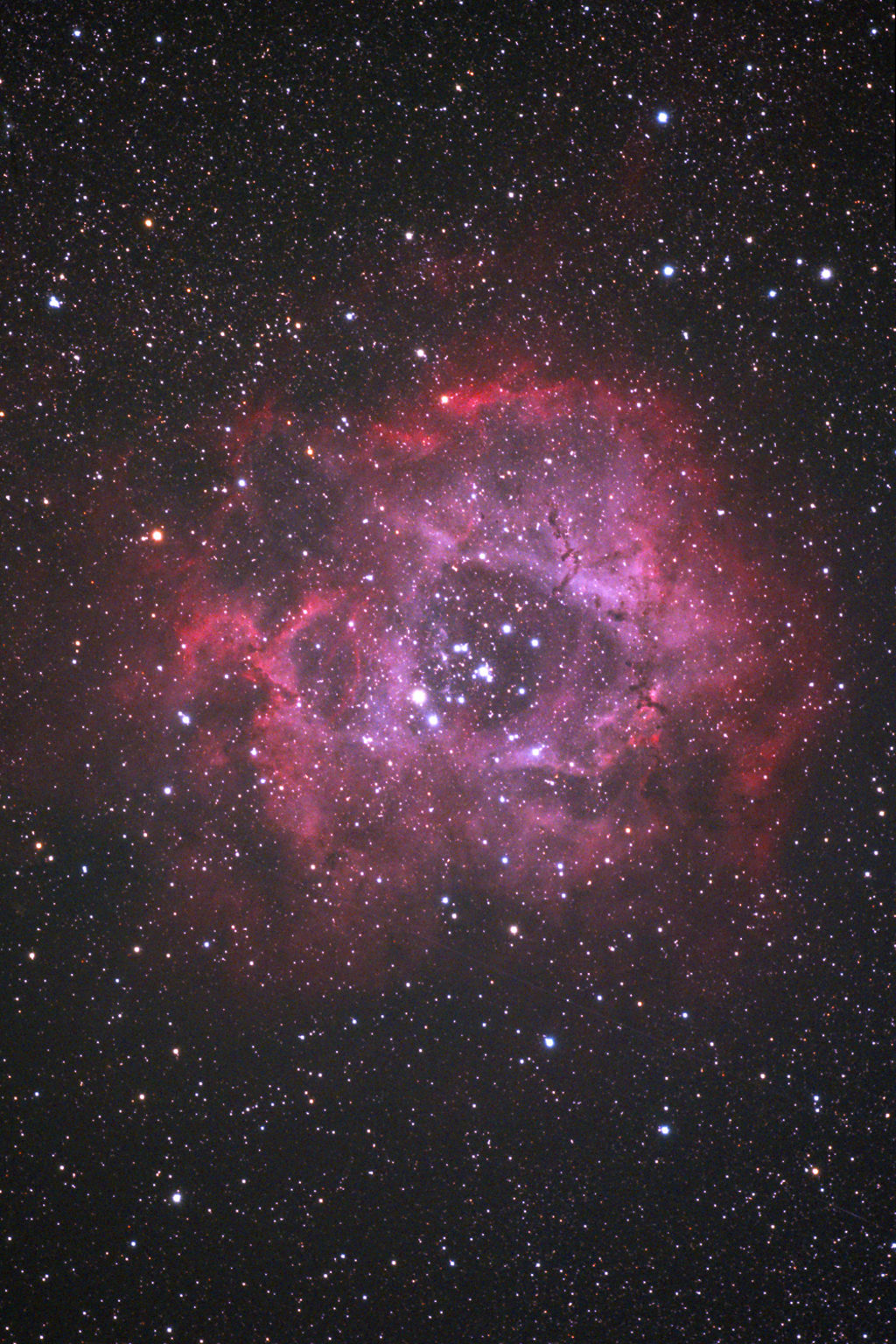 NGC2237 - The Rosette Nebula -