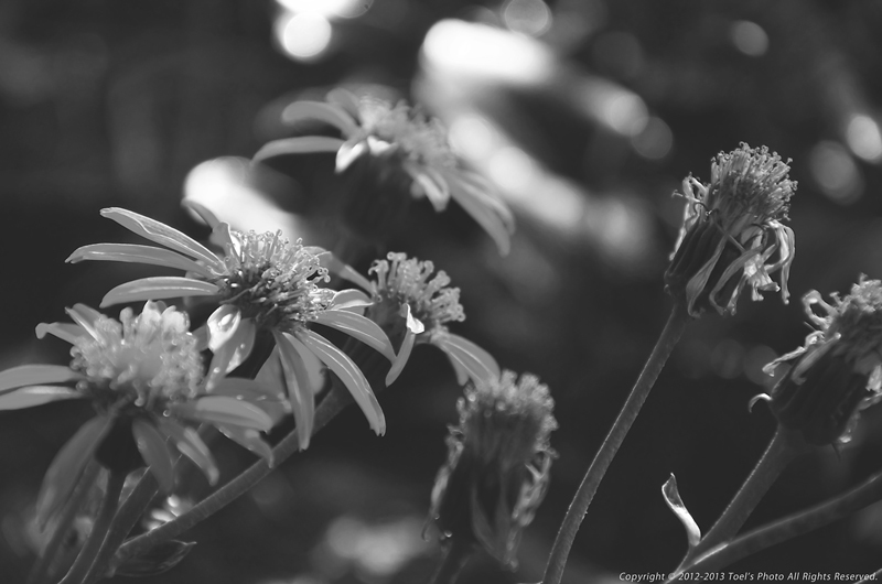 『Time goes by...』