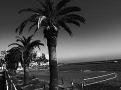 R0017160
