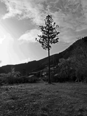 R0014955A