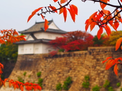 散歩