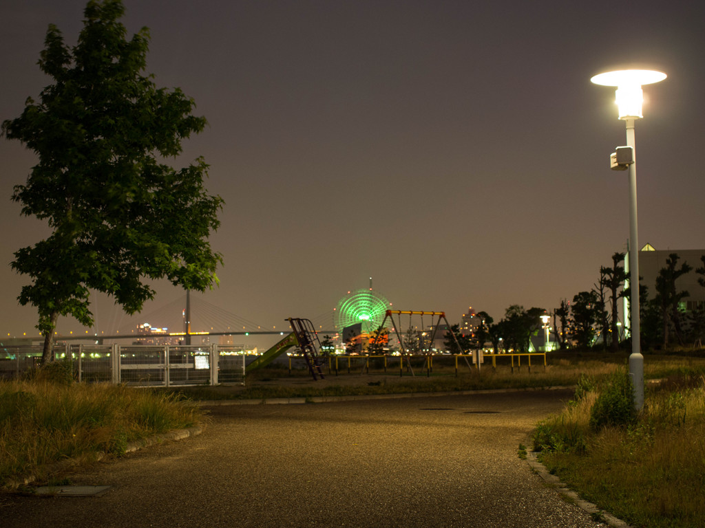 観覧車の見える公園