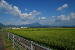 大山をのぞむ