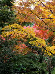 日本庭園