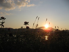 2011.0717 北上川夕暮②