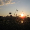 2011.0717 北上川夕暮②