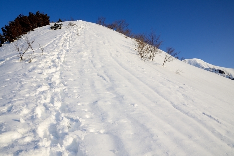 s-DSC_8200_750-500
