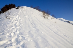 s-DSC_8200_750-500