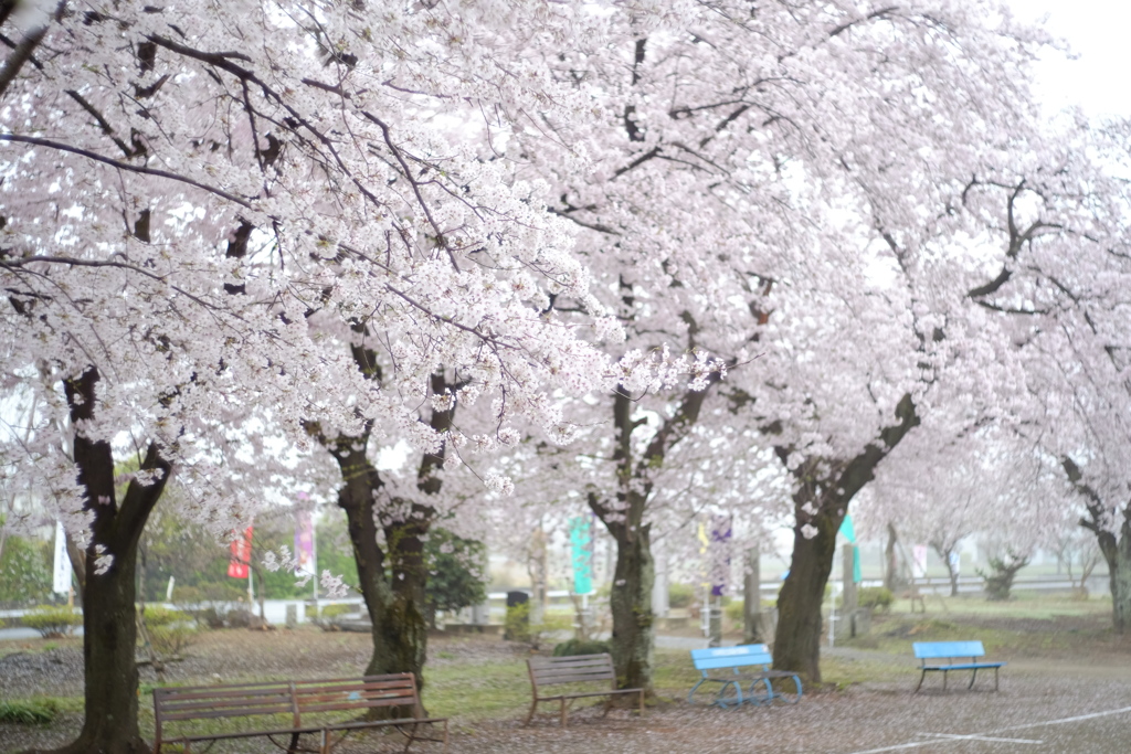 春祭りの公園