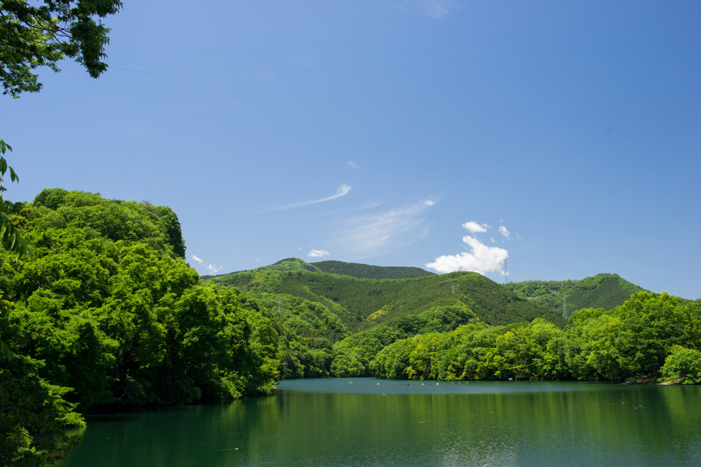五月の山水