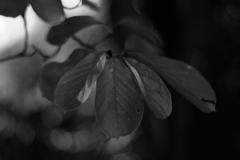 何となくモノクロ3