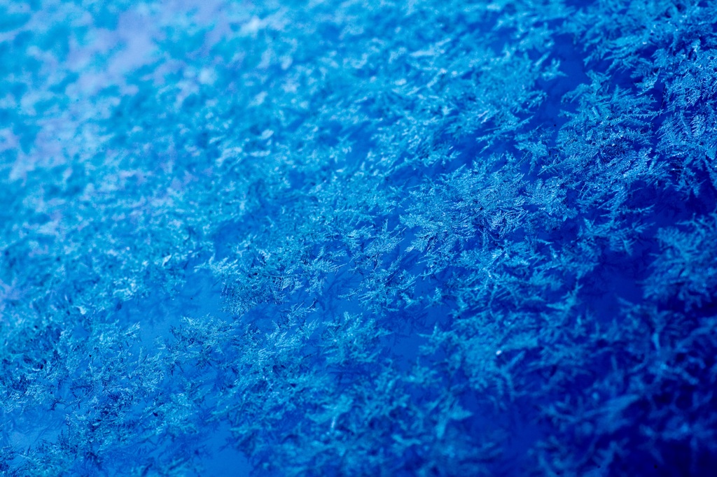 冬の結晶