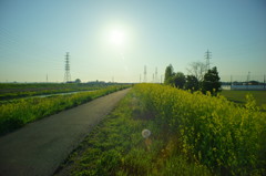 春の陽に駆け抜ける