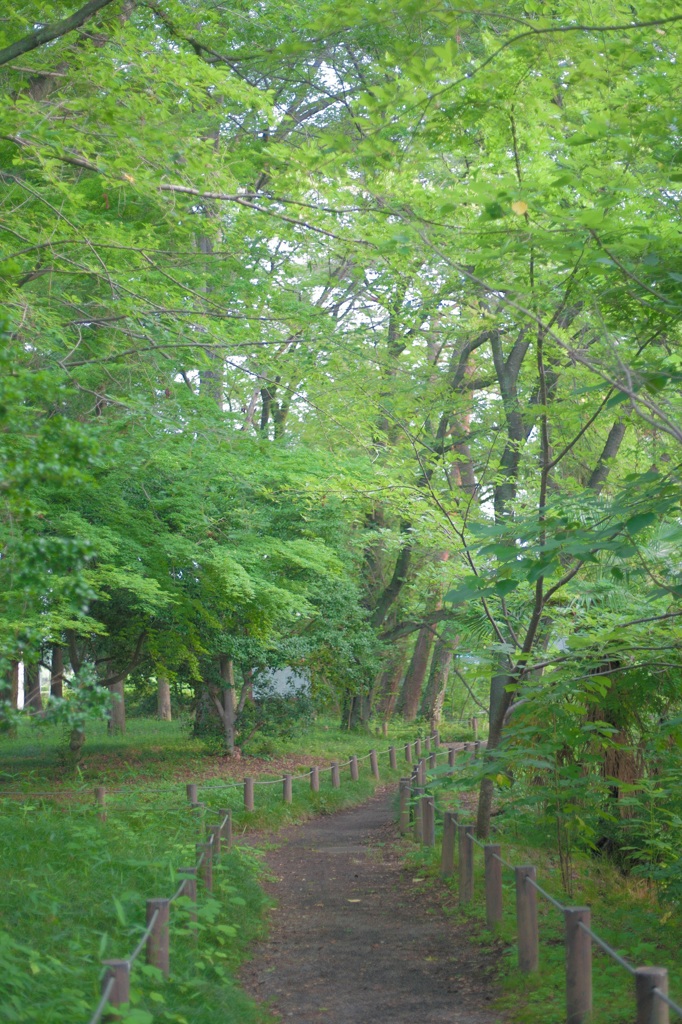 しずかなあさ