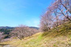 ちょっと早かった・・・