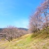 ちょっと早かった・・・