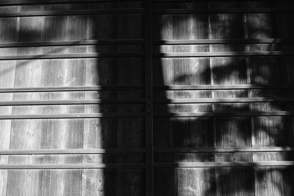 SDIM0568-1