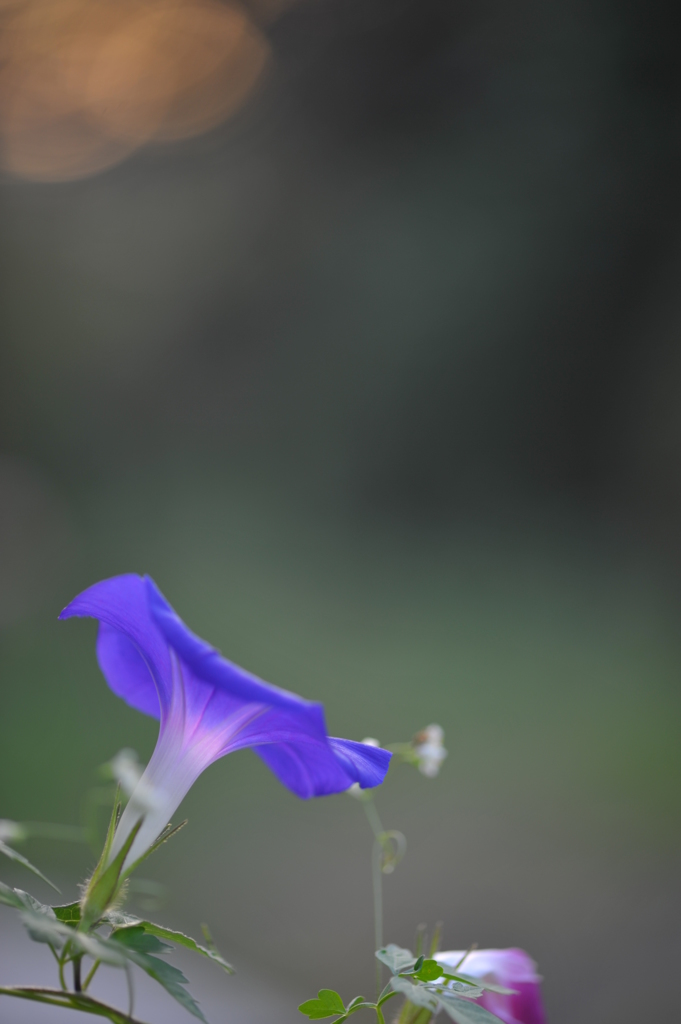 DSC_5488