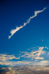 青空・竜