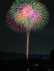 夜空に咲く花Ⅰ