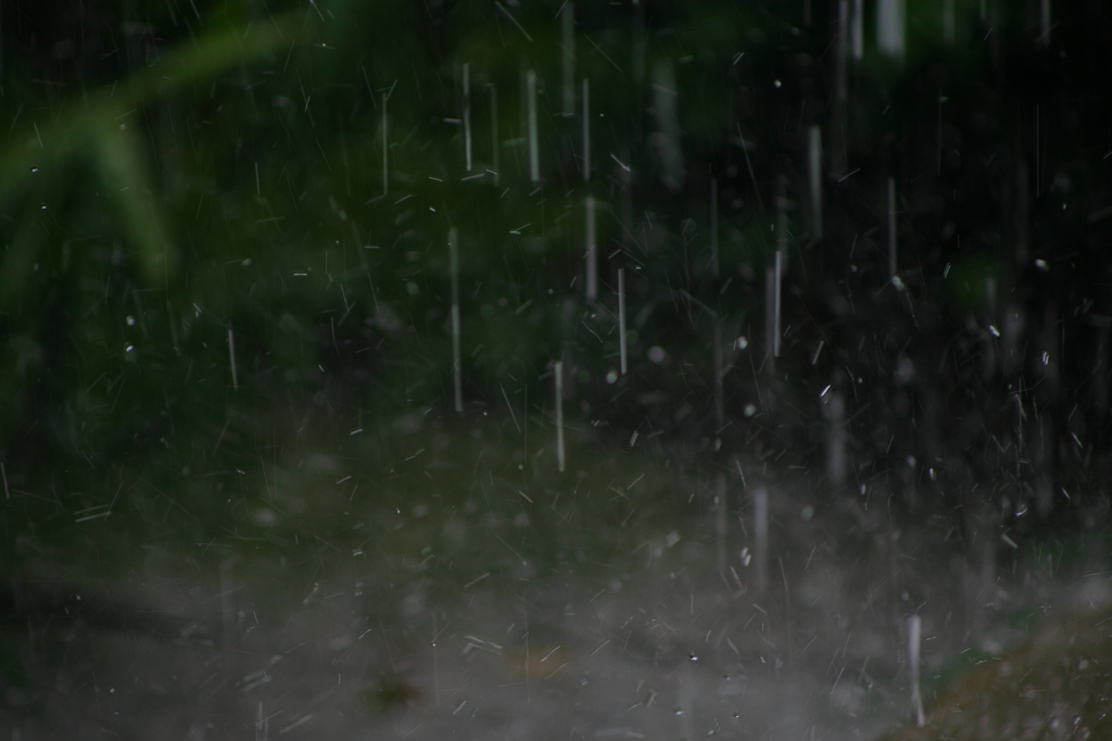 雨