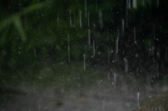 雨