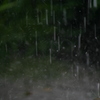 雨
