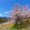 春の野山