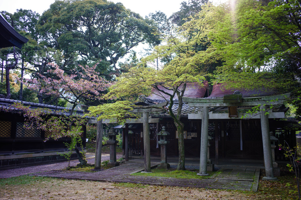 静かな境内