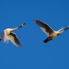 in the blue sky