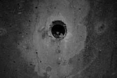 小さな世界の住人