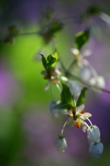 IMG_5592min