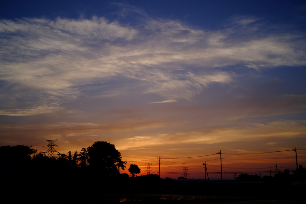 夕暮れシルエット