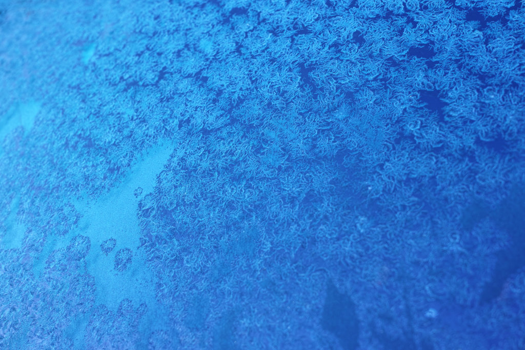 氷の花模様