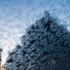 Diamond Feathers