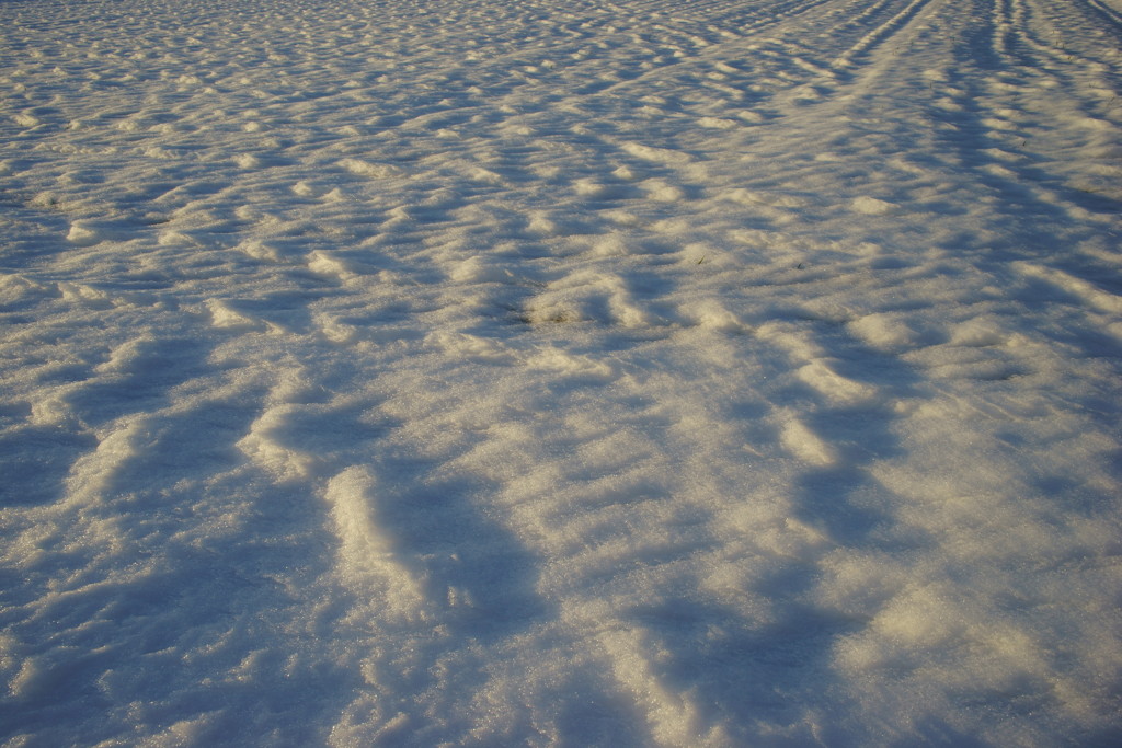 雪の漣